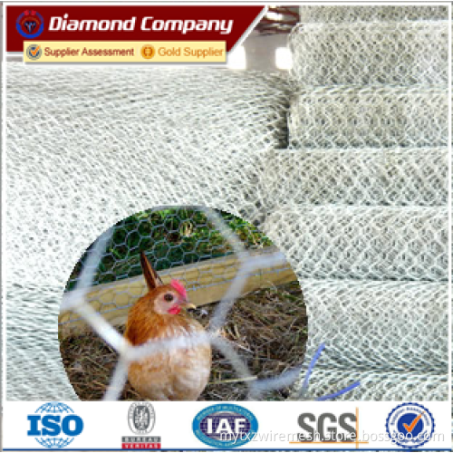 Top sale Hot dipped Galvanized Hexagonal Wire Mesh Chicken Netting